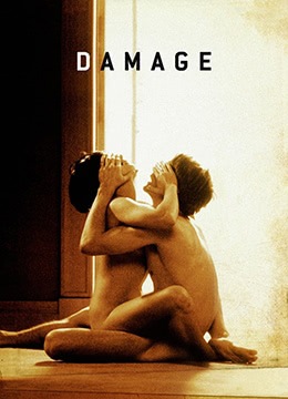 烈火情人.Damage.1992.UK.BluRay.1280x696p.x264.AC3-KOOK.[中英双字]海报剧照